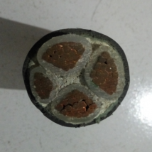 鄭上 銅力纜
